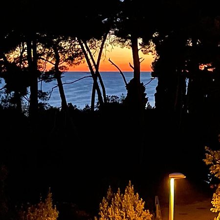 Robi Apartment Rovinj Ngoại thất bức ảnh